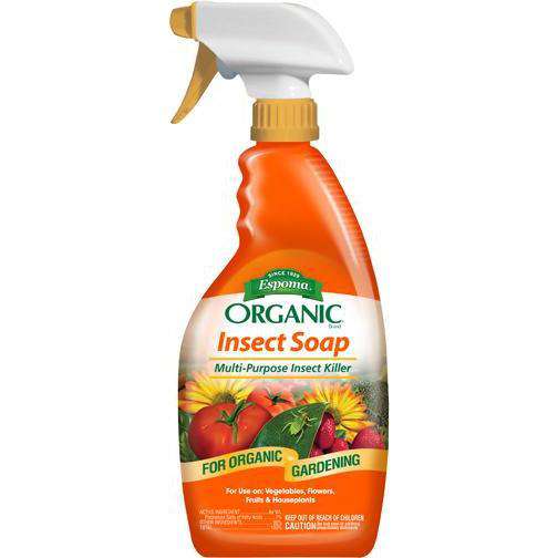 bioadvanced insecticidal soap Insect Soap Insect Killer – Bay Gardens