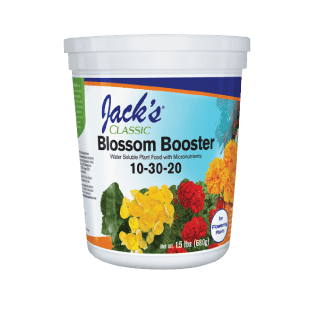 succulent booster Jack's Classic Blossom Booster Water Soluble Plant Food