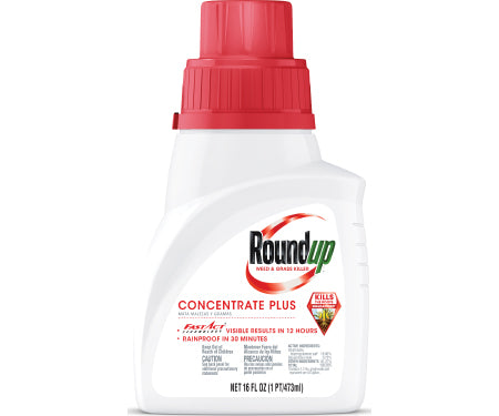 Roundup Weed And Grass Killer Plus Concentrate