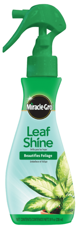Miracle-Gro Leaf Shine Spray – Bay Gardens