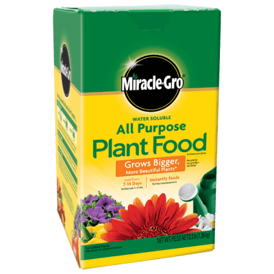 green green plant fertilizer Miracle-Gro All Purpose Plant Food (24-8-16) – Bay Gardens