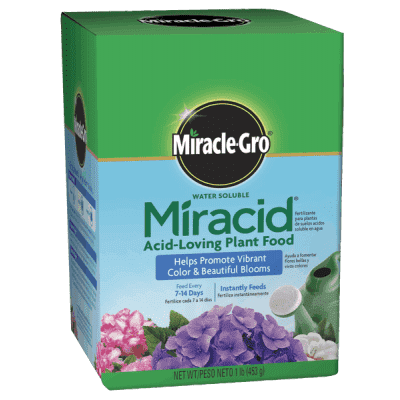 Save on Miracle-Gro All-Purpose Plant Food Water Soluble Powder Order  Online Delivery