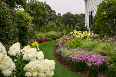 Landscape Design Consultation