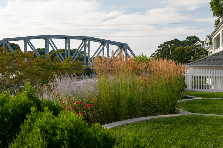 Landscape Design Consultation