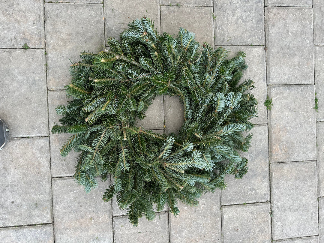 36-38" Single Fraser Wreath (24" Ring)