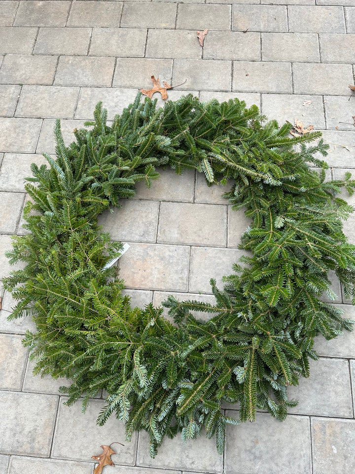 48-50" Single Fraser Wreath (36" Ring)