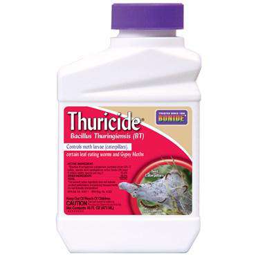 Bonide Thuricide  Insect Control