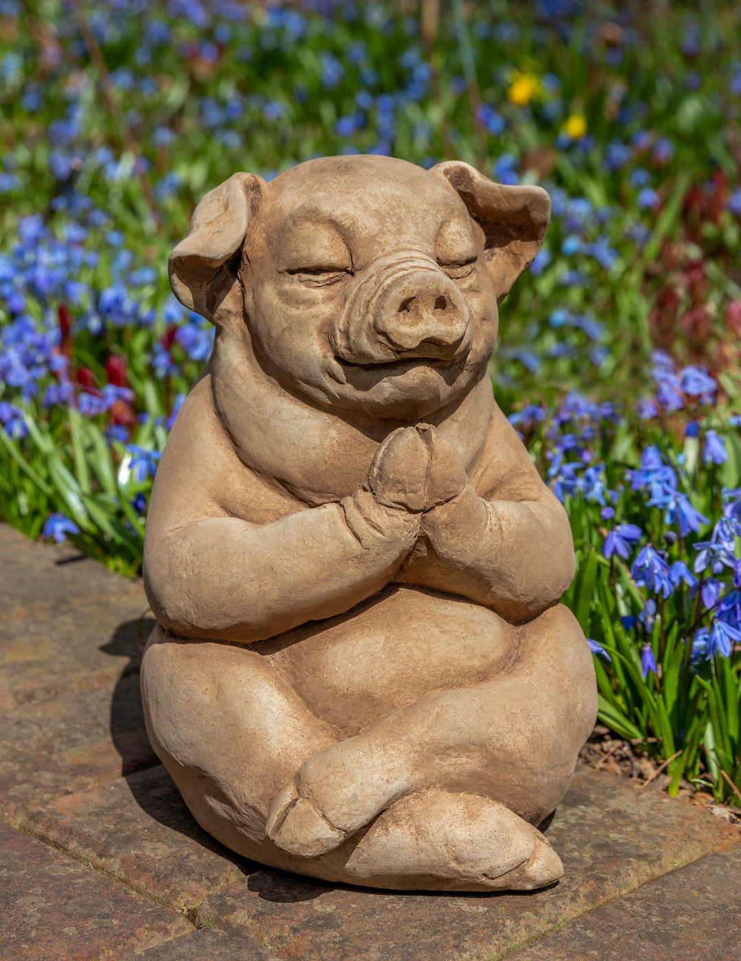 Zen Pig