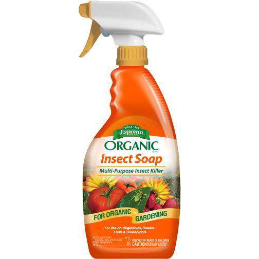 Insect Soap Insect Killer