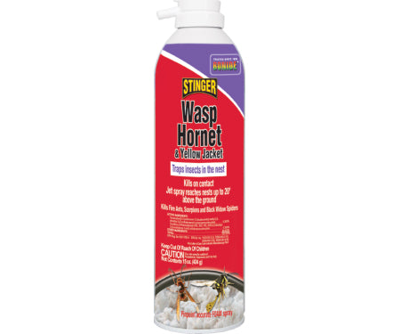 Bonide® Wasp & Hornet Killer - Foam