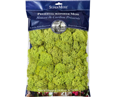 Preserved Bagged Reindeer Moss - Chartreuse