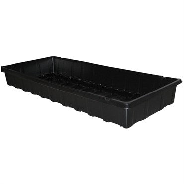 Black Seed Tray