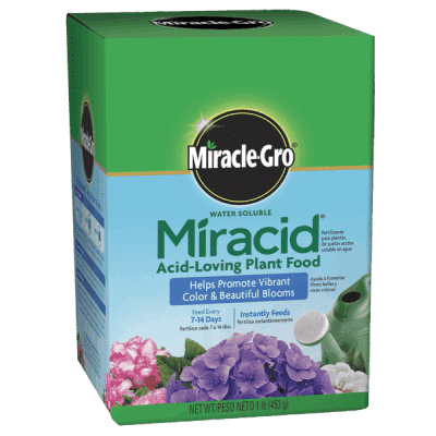 Miracle-Gro Water Soluble Miracid Acid-Loving Plant Food (30-10-10)